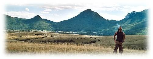 Respiratory System Diagram