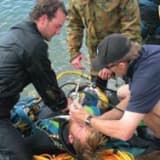 Embolism and decompression sickness